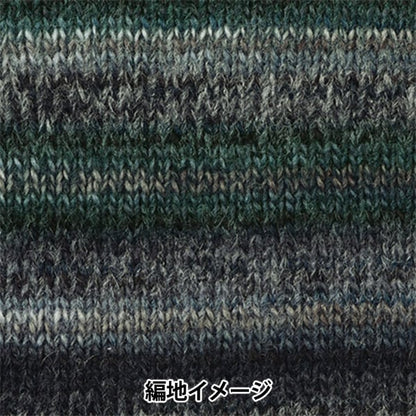 秋冬纱线 “ Dina（Dina）第八颜色” Hamanaka