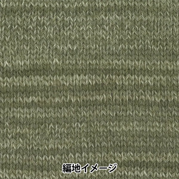 Fall and winterYarn "Tree House Famille (Tree House Famille) 605 color" Olympus