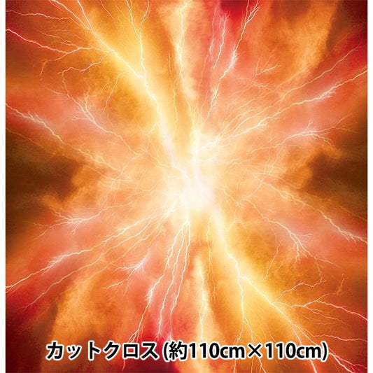 织物 “喷墨印刷 剪布 大约110厘米x 110厘米闪电T4910-67]
