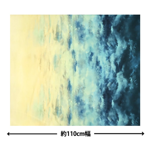 [来自数量5] 织物 “美国棉花西南天空法式蓝色T4916-F7”