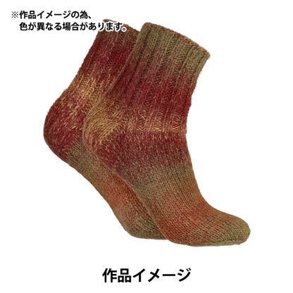 秋冬纱线 “ Novita Runo 800彩色秋叶” Novita Novita