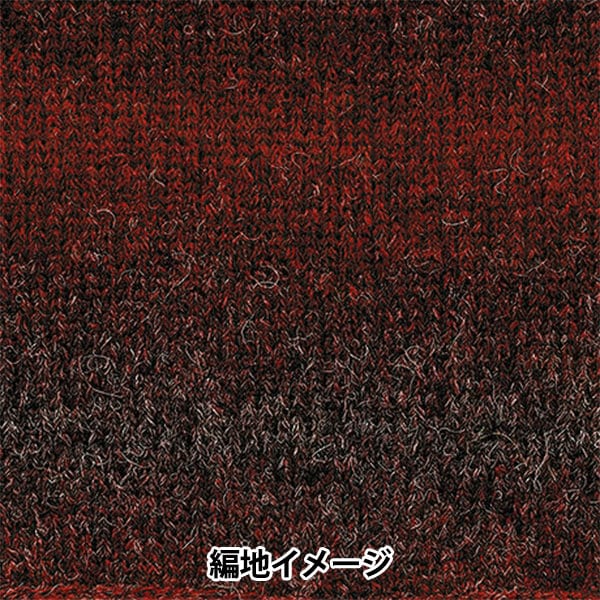 秋冬紗線 『羊駝毛聯盟登錄116顏色“ Richmore Rich More