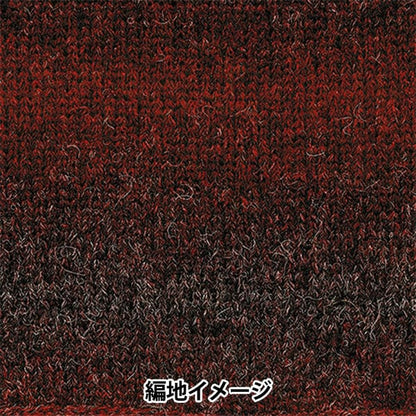 秋冬紗線 『羊駝毛聯盟登錄116顏色“ Richmore Rich More