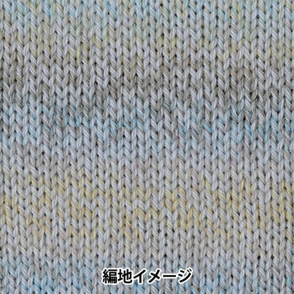 秋冬纱线 “百分比变化312颜色” Richmore Rich更多
