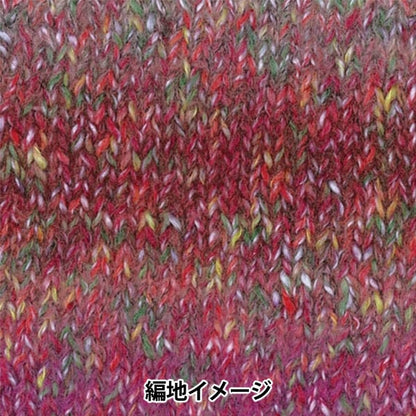 秋冬纱线 “枫路（枫路）3颜色” Olympus