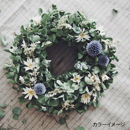 刺绣线程“带启动的绿色租赁GP-25C的花园派对刺绣线程” Olympus