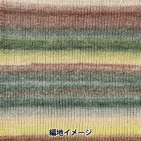 Fall and winterYarn "Siena 2nd color" WORLD FESTA World Festa