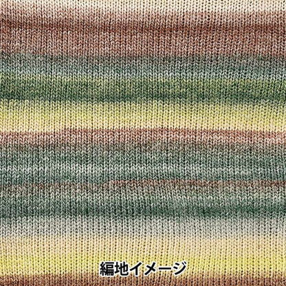 Fall and winterYarn "Siena 2nd color" WORLD FESTA World Festa