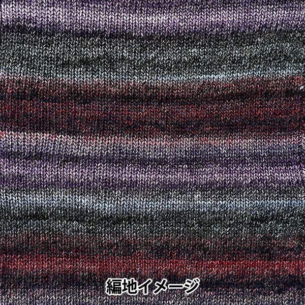 Fall and winterYarn "Siena 4th color" WORLD FESTA World Festa