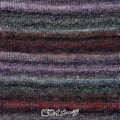 Fall and winterYarn "Siena 4th color" WORLD FESTA World Festa
